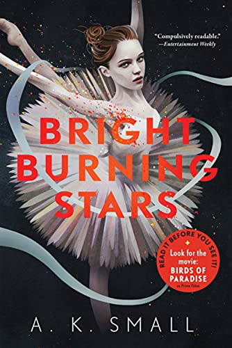 Bright Burning Stars von Algonquin Young Readers