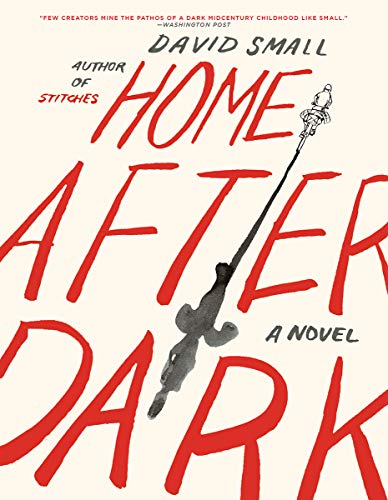 Home After Dark: A Novel