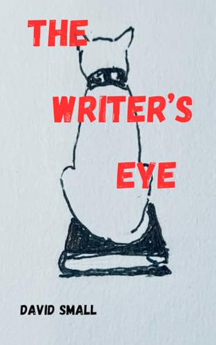 The Writer's Eye von Independently published