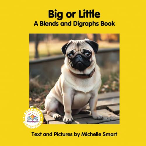 Big or Little: A Blends and Digraphs Book (Yellow Level Surprise Decodables) von Surprise Decodables