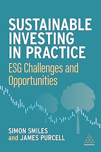 Sustainable Investing in Practice: ESG Challenges and Opportunities von Kogan Page