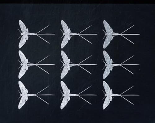 Darren Smith - Mayflies von Lecturis BV