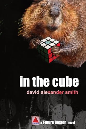 In the Cube (Future Boston, Band 3) von Fantastic Books