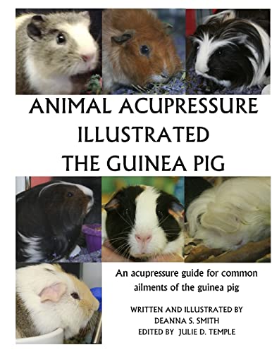 Animal Acupressure Illustration The Guinea Pig von CREATESPACE