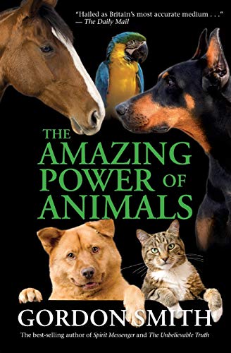 Amazing Power of Animals von Hay House