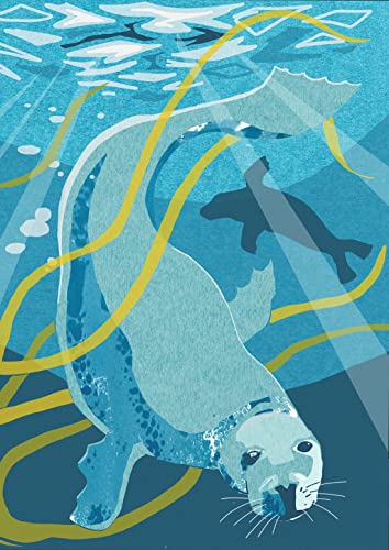 Nature Notebook: Seal Nature Notebook: Seal