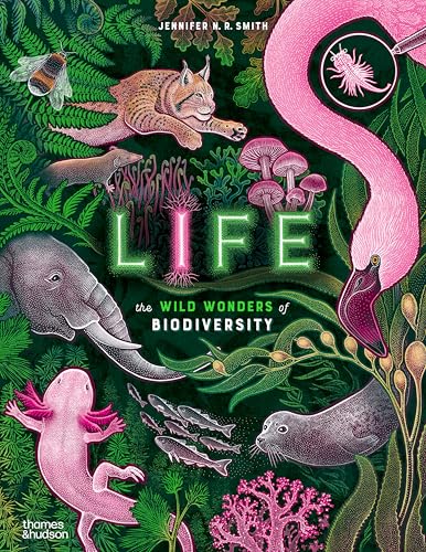 Life: The Wild Wonders of Biodiversity (Wild Wonders, 3, Band 3) von Thames & Hudson Ltd