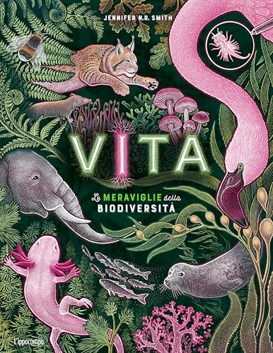 Vita. Le meraviglie della biodiversità. Album scoperte von L'Ippocampo