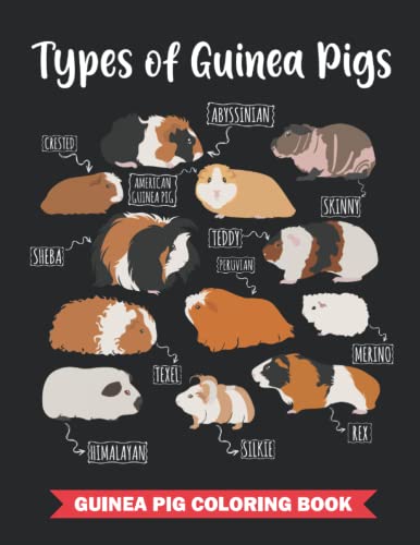 Type of Guinea Pigs - Guinea Pig Coloring Book von Independently published