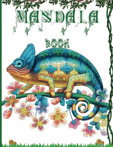 Mandala Coloring Book von Independently published