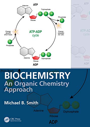 Biochemistry: An Organic Chemistry Approach von CRC Press