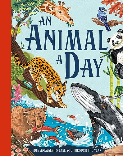 An Animal a Day: A brand new fact filled children’s illustrated gift book for 2023 for kids aged 6 and up