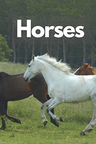 Horses: School notebook, Motivational Notebook, Journal, Diary Horses: School notebook, Motivational Notebook, Journal, Diary von Independently published