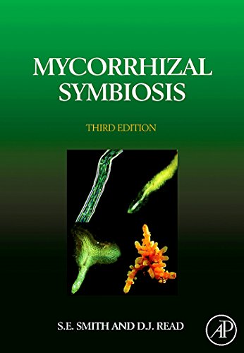 Mycorrhizal Symbiosis von Academic Press