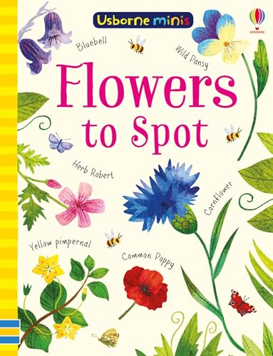 Flowers to Spot (Usborne Minis) von USBORNE CAT ANG