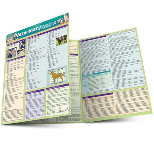 C++ Programming Language: A Quickstudy Laminated Reference (Quickstudy Reference Guide)