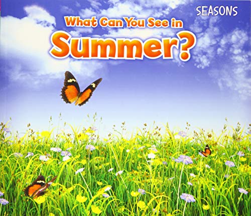 What Can You See In Summer? (Seasons) von Raintree