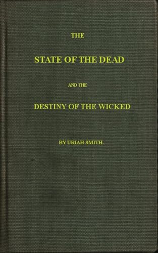 The State of the Dead and the Destiny of the Wicked von Anson Street Press