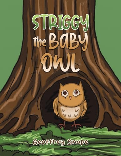 Striggy the Baby Owl von Austin Macauley Publishers