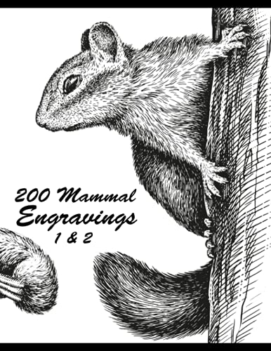 200 Mammal Engravings 1 & 2 von Independently published