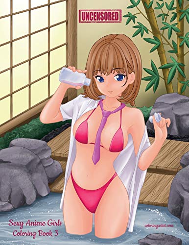 Sexy Anime Girls Uncensored Coloring Book 3 (Sexy Anime Girls Uncensored, 3) von NConsulting