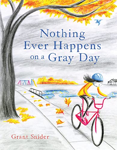 Nothing Ever Happens on a Gray Day von Chronicle Books