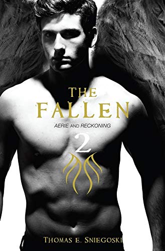 The Fallen 2: Aerie and Reckoning (Volume 2)