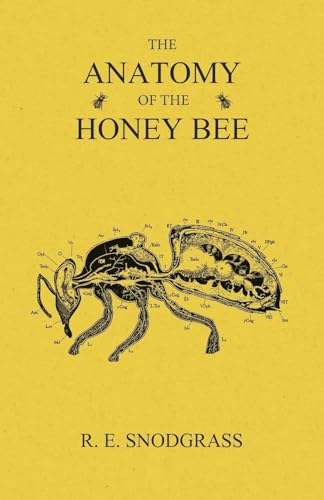 The Anatomy of the Honey Bee von Read Books