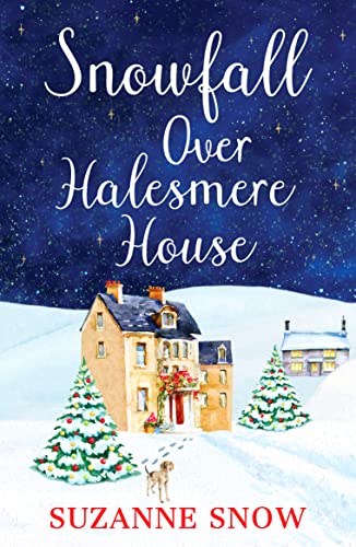 Snowfall Over Halesmere House: A gorgeously festive and uplifting romance (Love in the Lakes, 1, Band 1) von Canelo