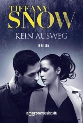 Kein Ausweg (Kathleen Turner, Band 2) von Amazon Crossing