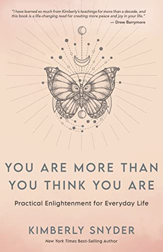 You Are More Than You Think You Are: Practical Enlightenment for Everyday Life von Hay House Inc