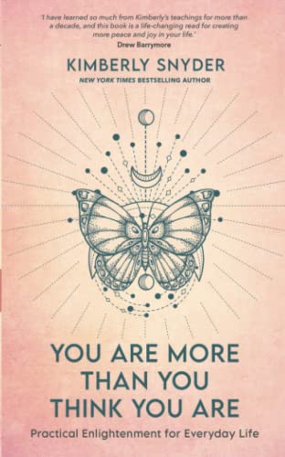 You Are More Than You Think You Are: Practical Enlightenment for Everyday Life von Hay House UK