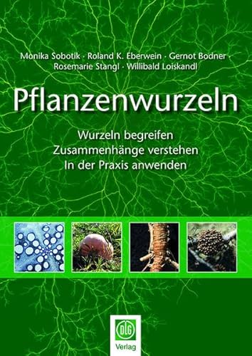 Pflanzenwurzeln: Wurzeln begreifen – Zusammenhänge verstehen – In der Praxis anwenden von DLG-Verlag GmbH