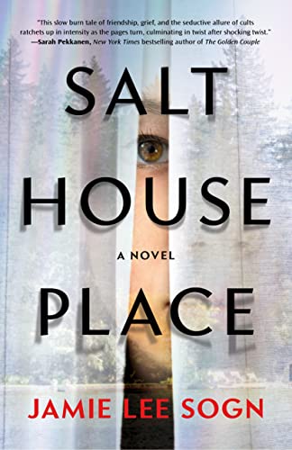 Salthouse Place: A Novel von Lake Union Publishing