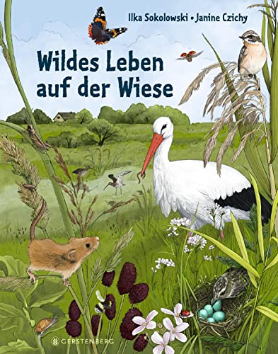 Wildes Leben auf der Wiese von Gerstenberg Verlag