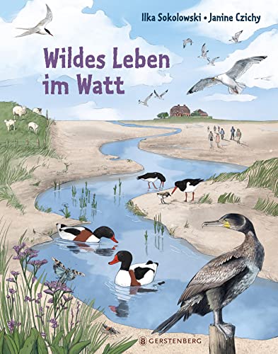 Wildes Leben im Watt von Gerstenberg Verlag