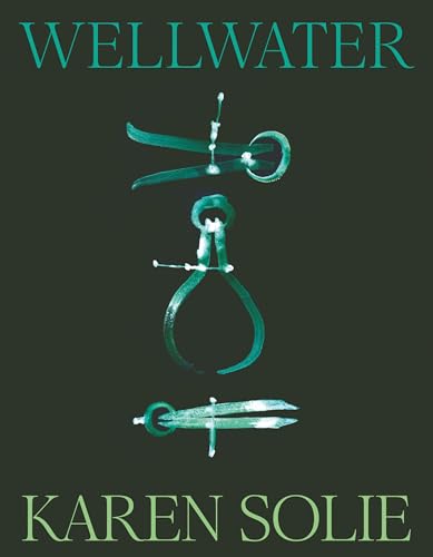 Wellwater von Picador
