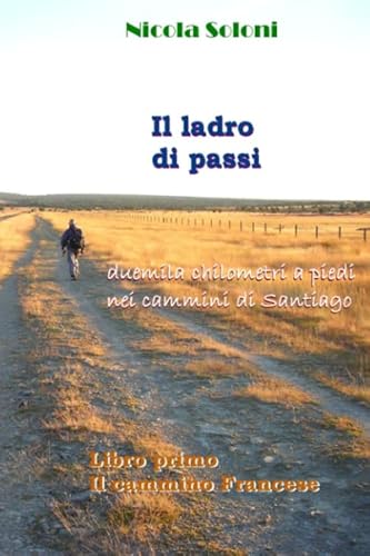 Il ladro di passi. Libro primo. Il cammino Francese: Duemila chilometri a piedi nei cammini di Santiago von StreetLib