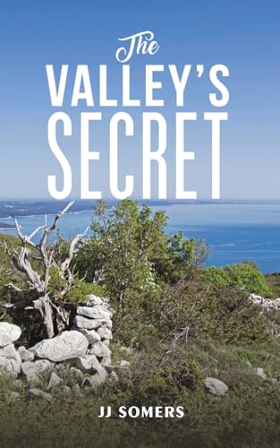 The Valley's Secret von Austin Macauley Publishers