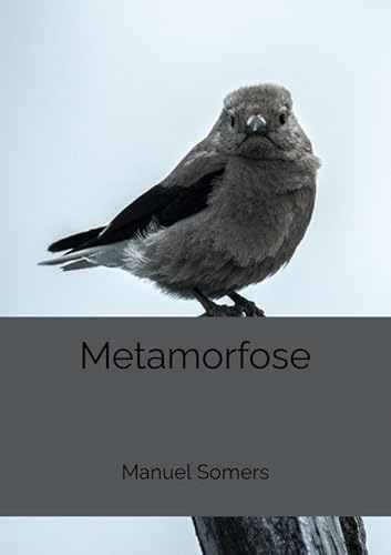 Metamorfose von Brave New Books