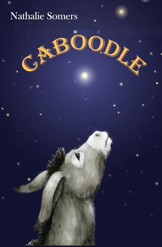 Caboodle: Unique nativity stories for kids von Independently published