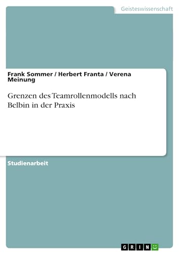 Grenzen des Teamrollenmodells nach Belbin in der Praxis