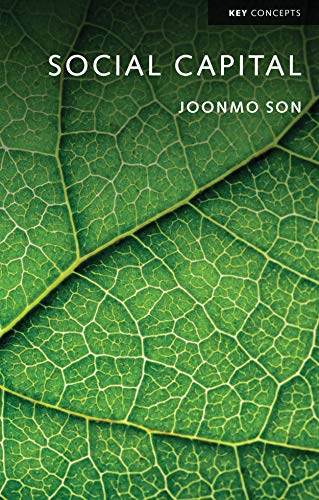 Social Capital (Key Concepts) von Polity