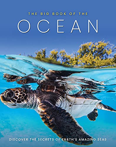 The Big Book of the Ocean: Discover the Secrets of the Earth's Amazing Seas von Sona Books