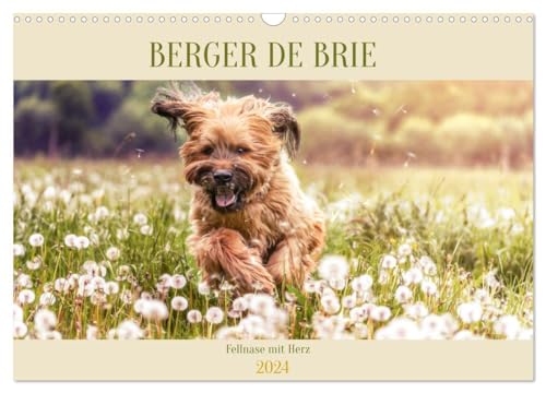 Berger de Brie - Fellnase mit Herz (Wandkalender 2024 DIN A3 quer), CALVENDO Monatskalender: Momentaufnahmen eines tollen Hundes von CALVENDO
