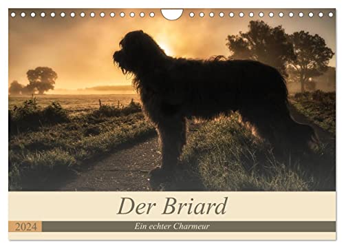 Der Briard 2024 - Ein echter Charmeur (Wandkalender 2024 DIN A4 quer), CALVENDO Monatskalender von CALVENDO