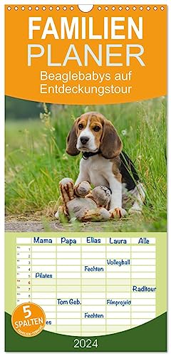 Familienplaner 2024 - Beaglebabys auf Entdeckungstour mit 5 Spalten (Wandkalender, 21 cm x 45 cm) CALVENDO