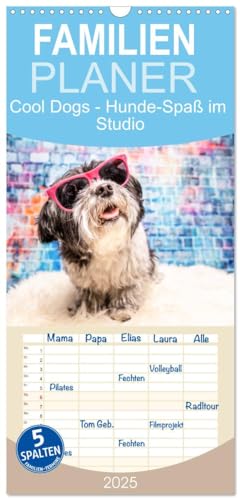 Familienplaner 2025 - Cool Dogs - Hunde-Spaß im Studio mit 5 Spalten (Wandkalender, 21 cm x 45 cm), CALVENDO