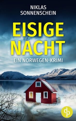 Eisige Nacht: Ein Norwegen-Krimi