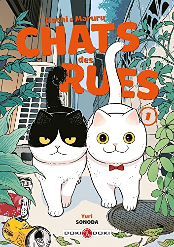 Hachi & Maruru - Chats des rues - vol. 01: Tome 1 von BAMBOO